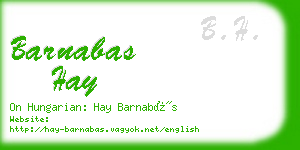 barnabas hay business card